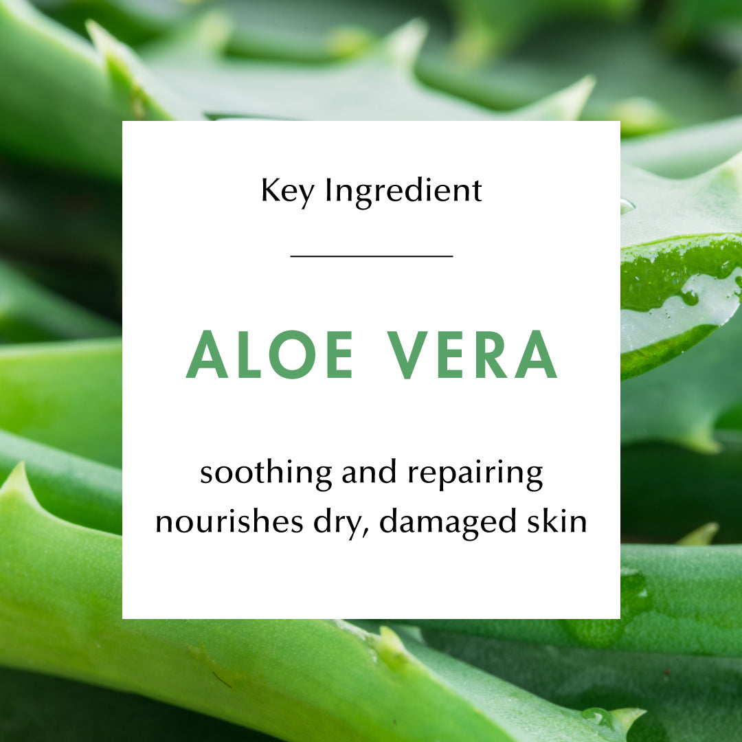 Ingredient Education- Aloe Vera: soothing and repairing. Nourishes dry, damaged skin. 