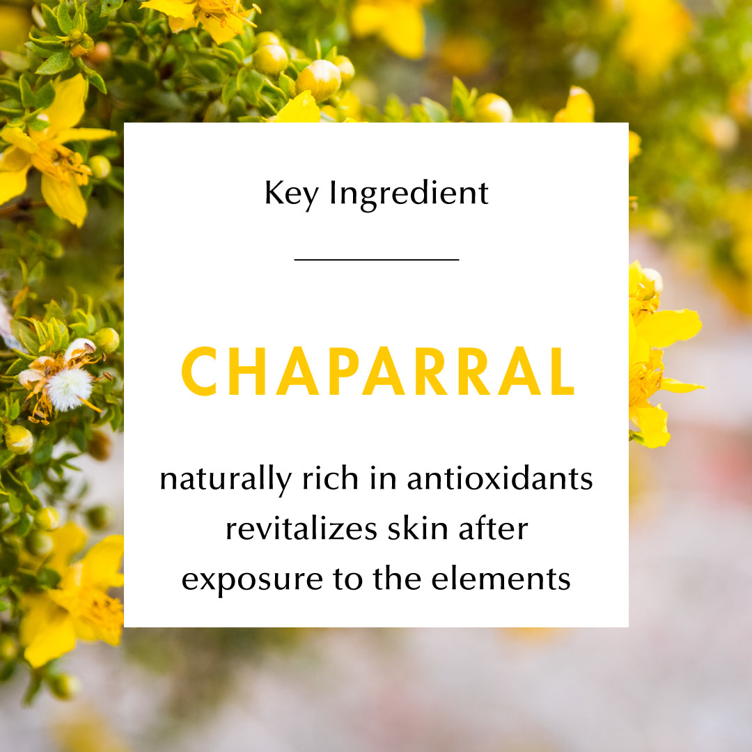 Ingredient Education- Chaparral: Naturally rich in antioxidants, revitalizes skin after exposure to the elements. 