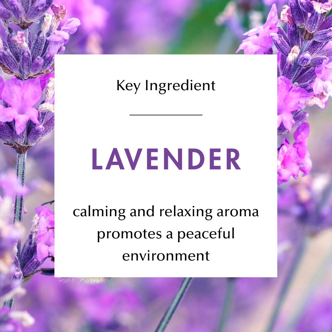 Ingredient Education- Lavender: calming and relaxing aroma. Promotes a peaceful environment.