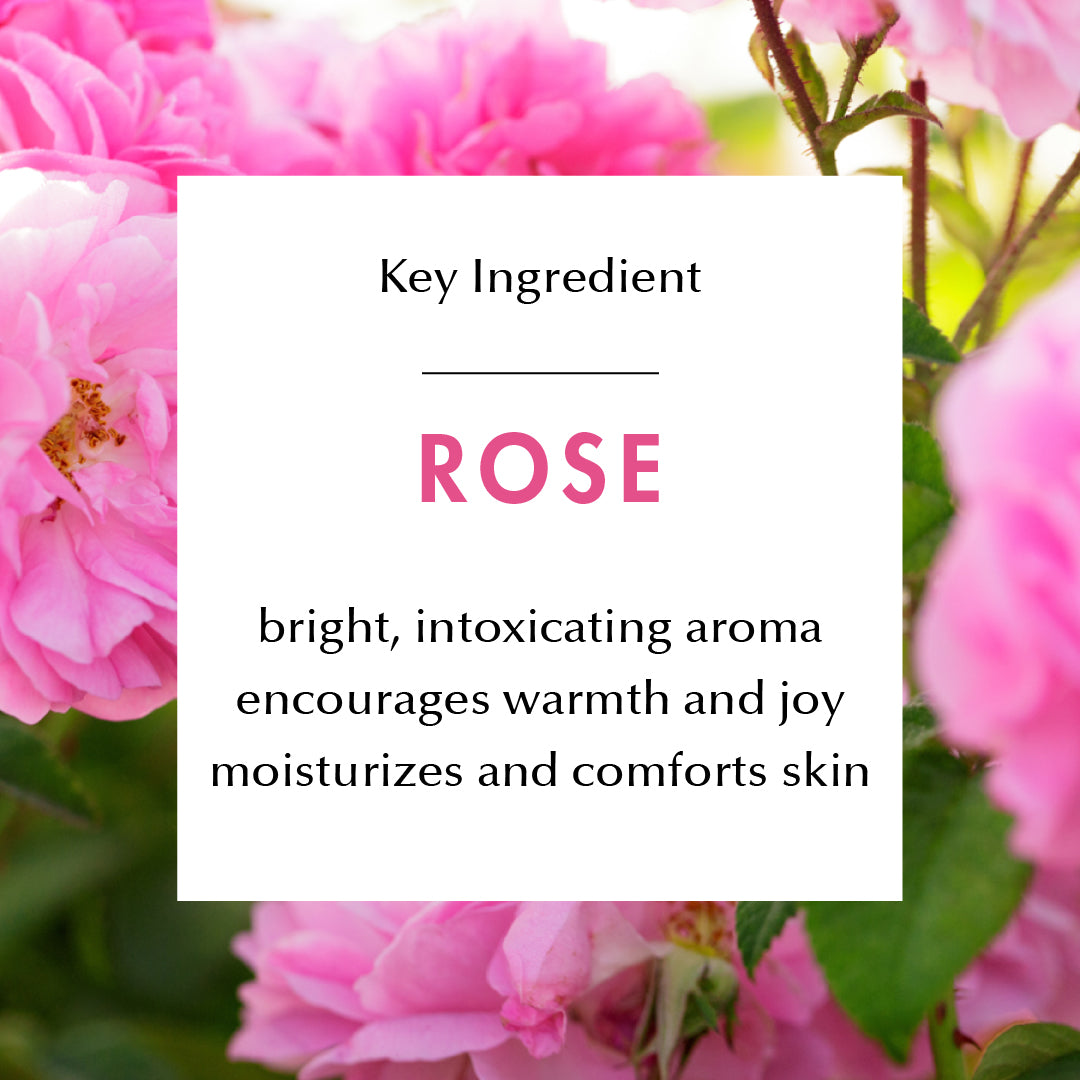 Ingredient Education- Rose: bright intoxicating aroma, encourages warmth and joy, moisturizes and comforts skin.